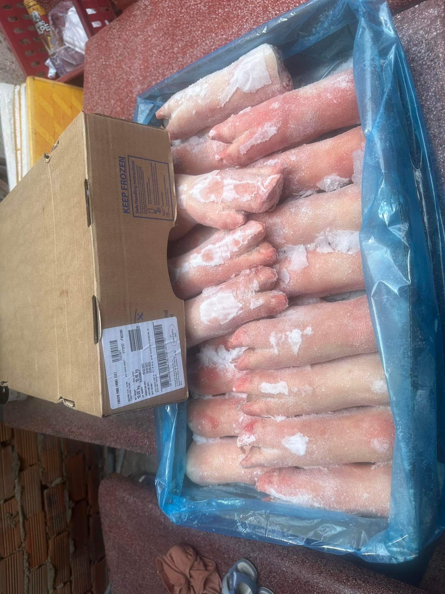 móng heo trước animex k4 ba lan