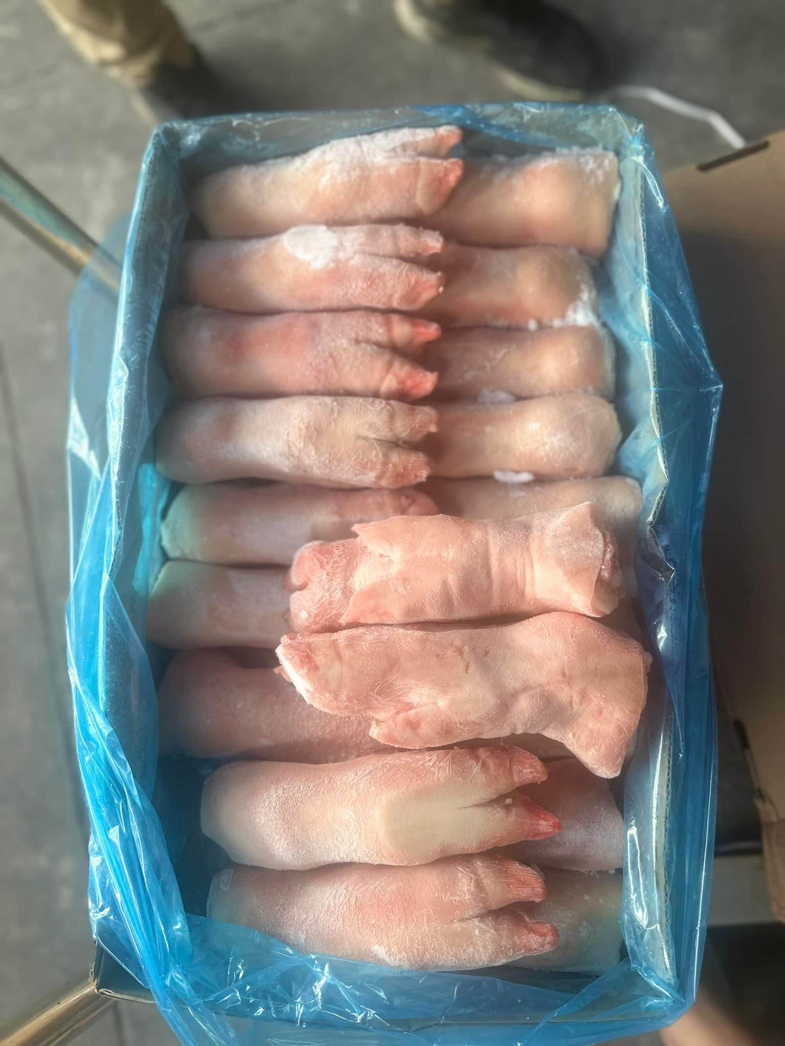 móng heo animex k4 giá sỉ