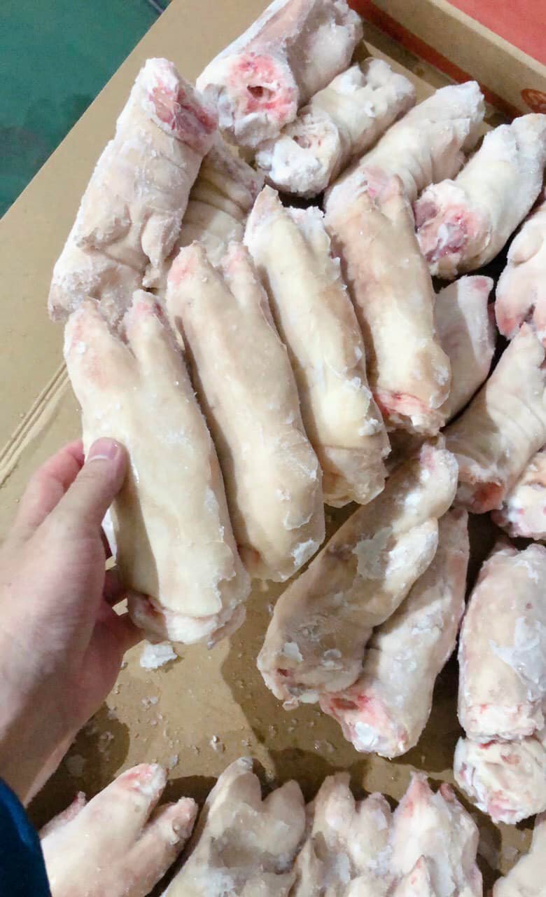 dựng heo trước seara brazil