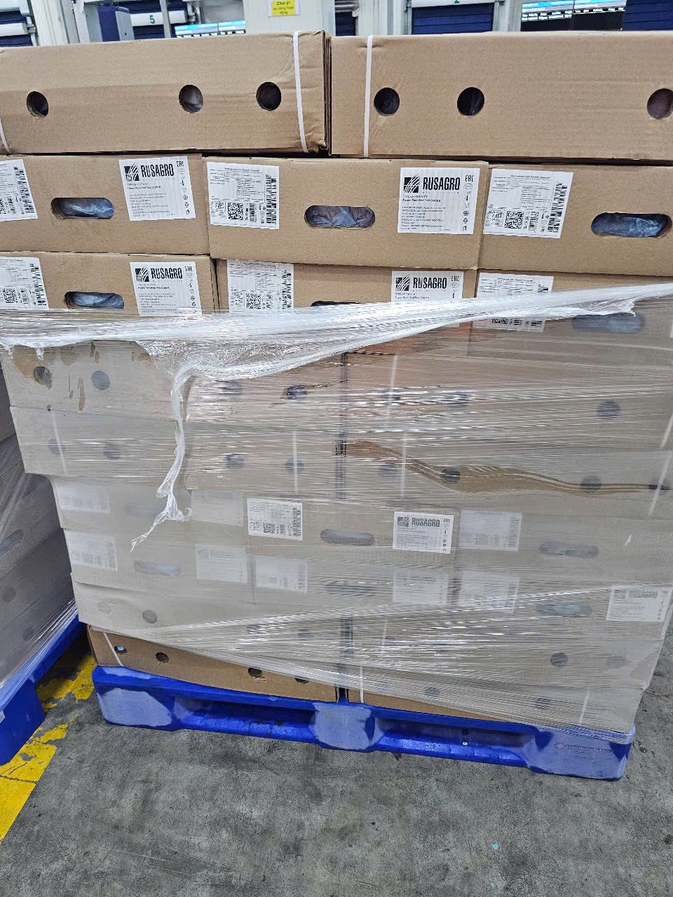 dựng heo rusagro giá sỉ