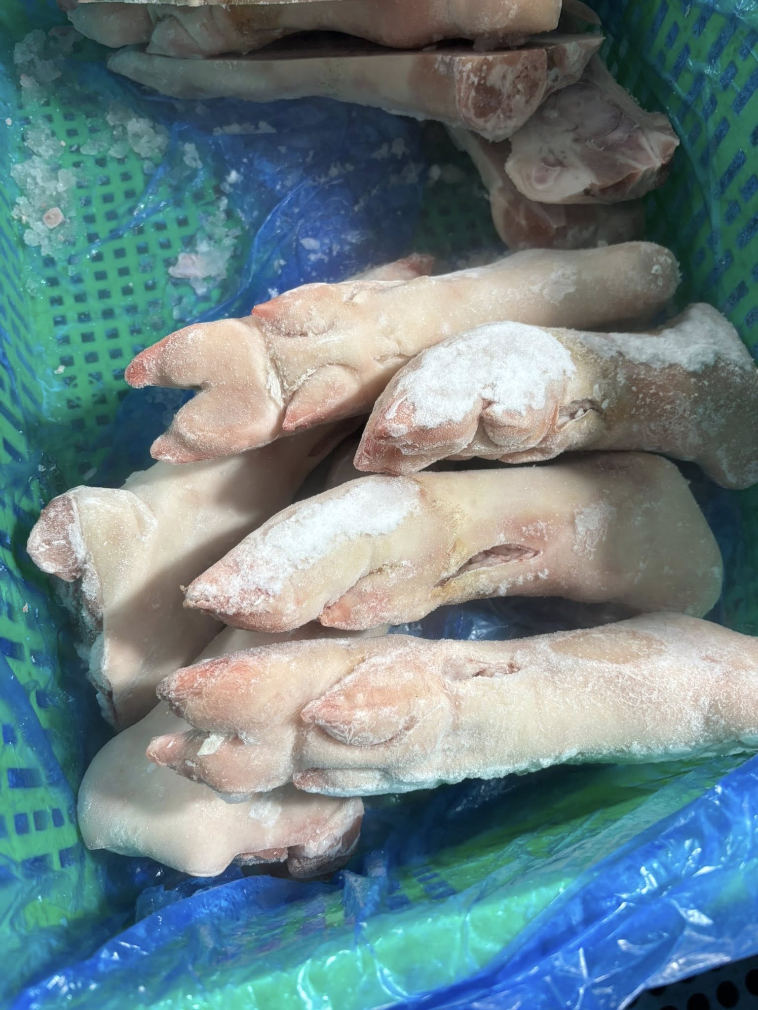 dựng heo sau úc giá sỉ