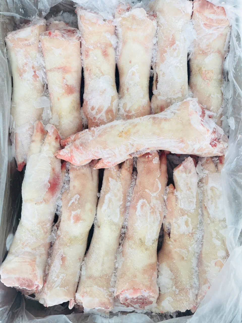 dựng heo sau danish crown đan mạch