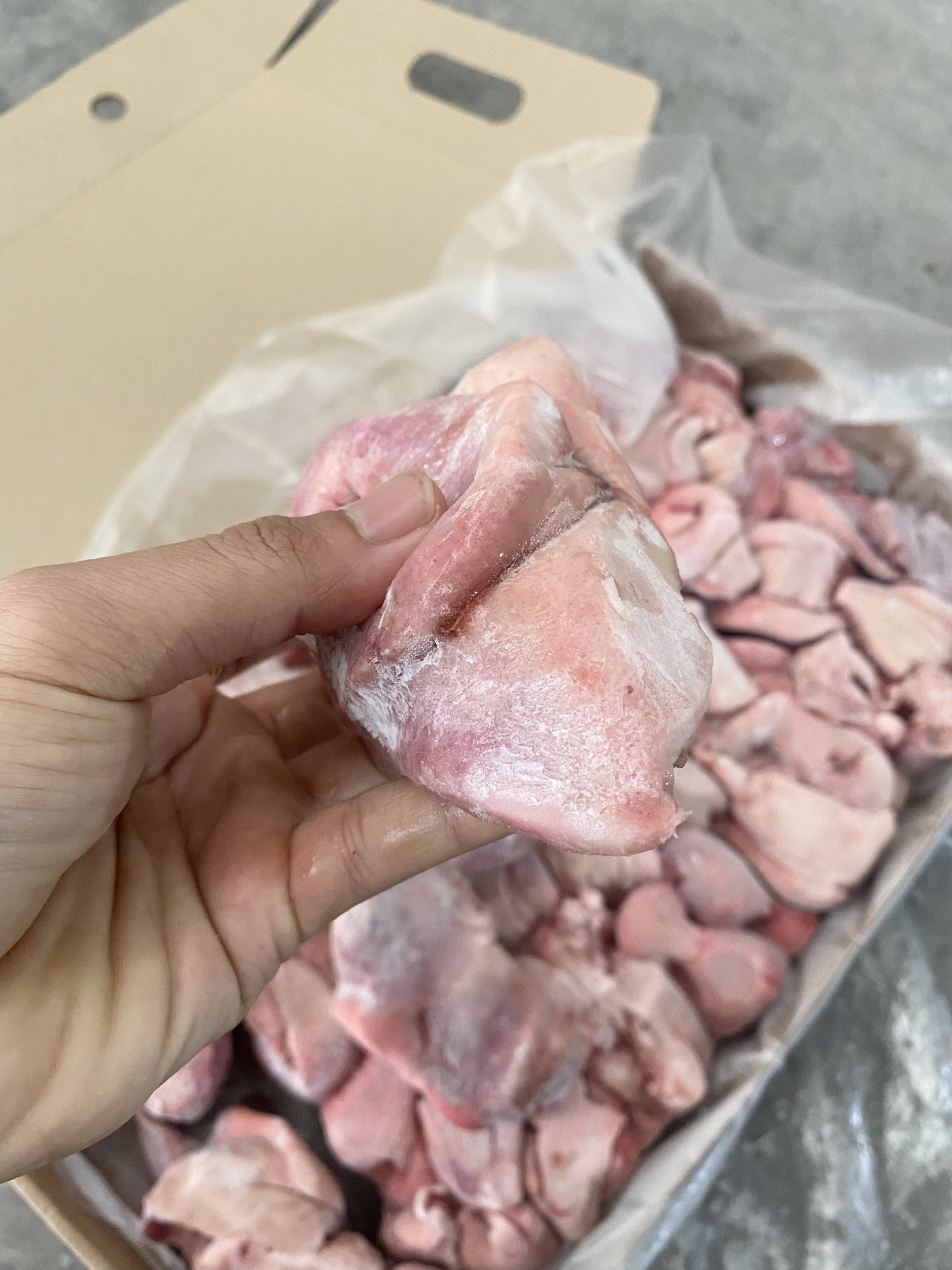 mũi heo đông lạnh miratorg nga