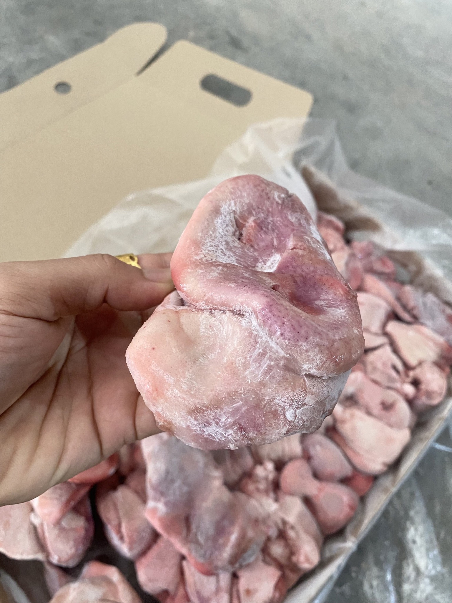 mũi heo miratorg nhập khẩu