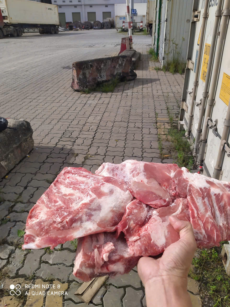 sườn vai heo vion