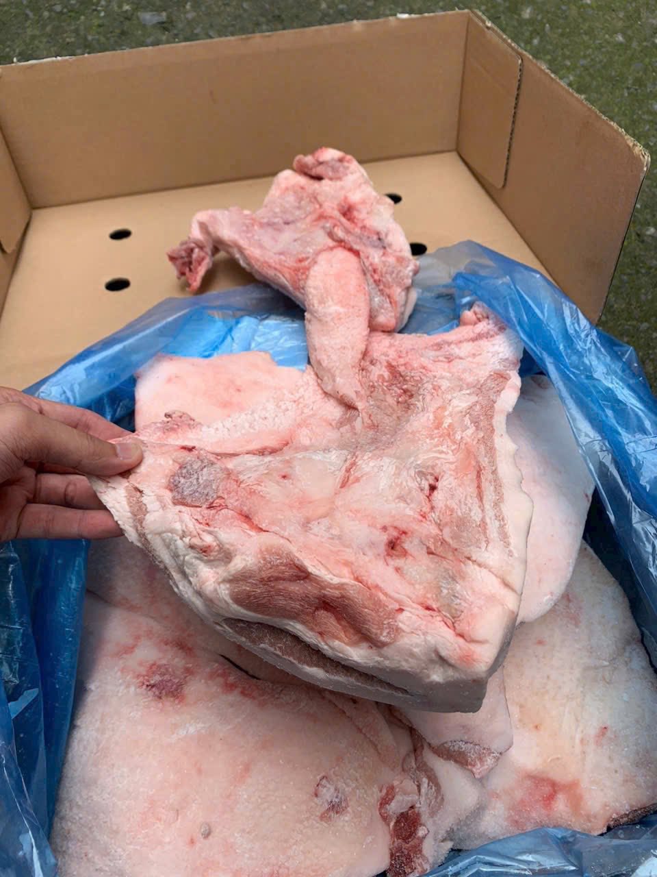 má heo nhập khẩu giá sỉ