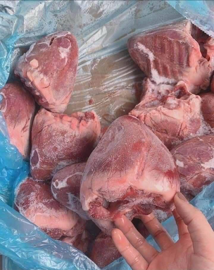 tim heo fribin giá sỉ