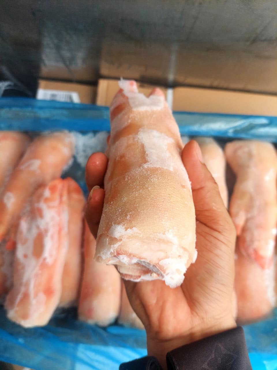 chân heo trước animex giá sỉ