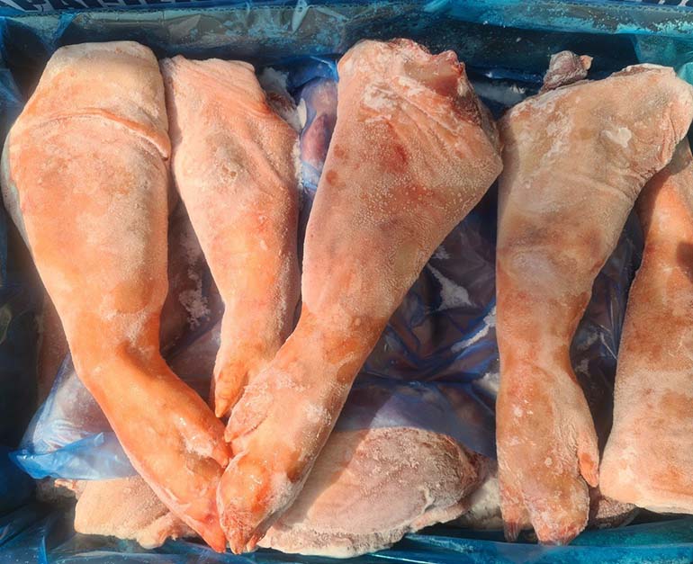 chân giò trước be campbell giá sỉ