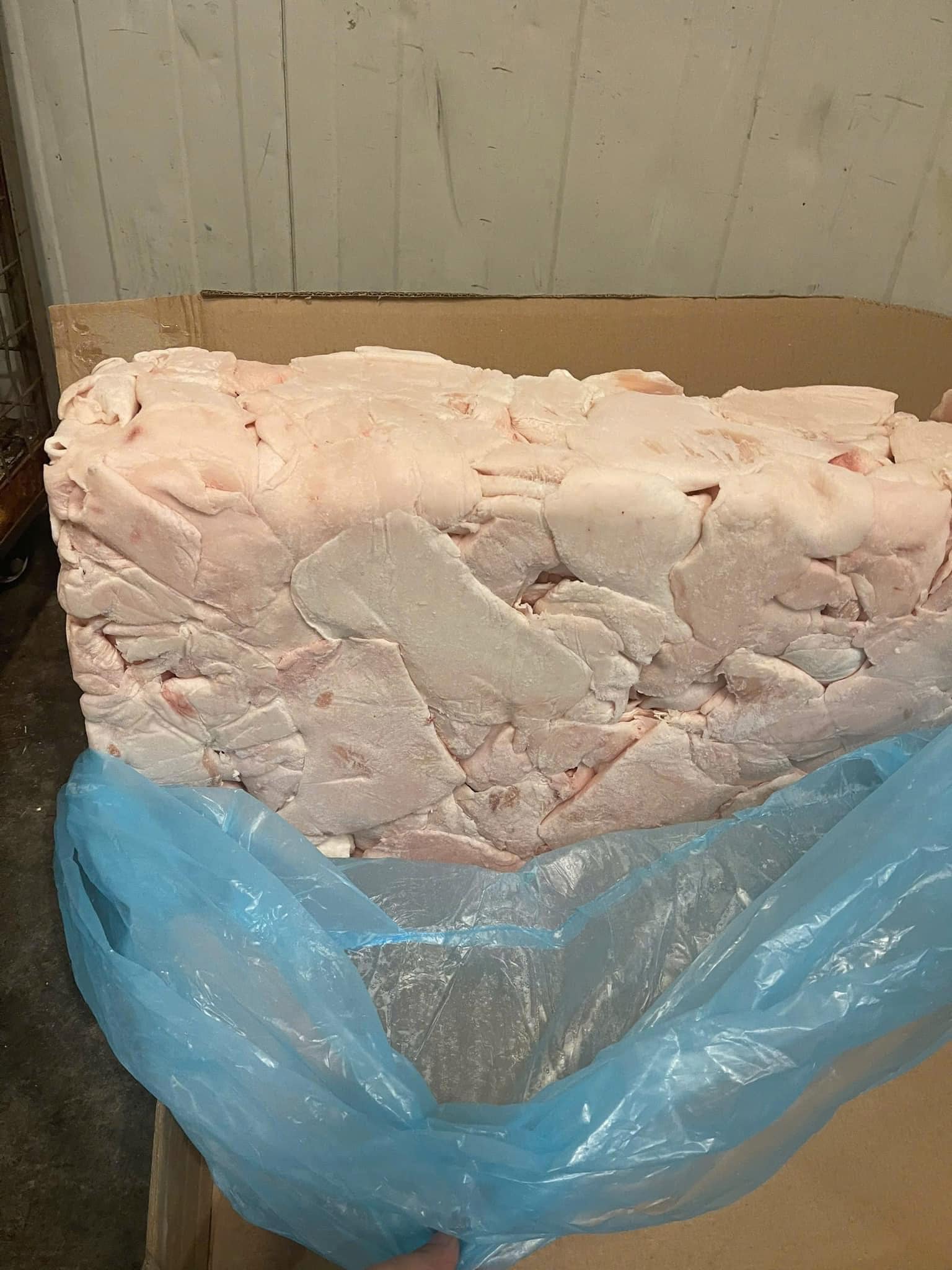 mỡ heo đông lạnh nhập khẩu ba lan