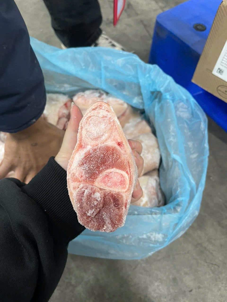 khoanh gối heo vlmk nga