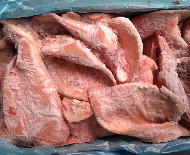 tai heo tonnies đức