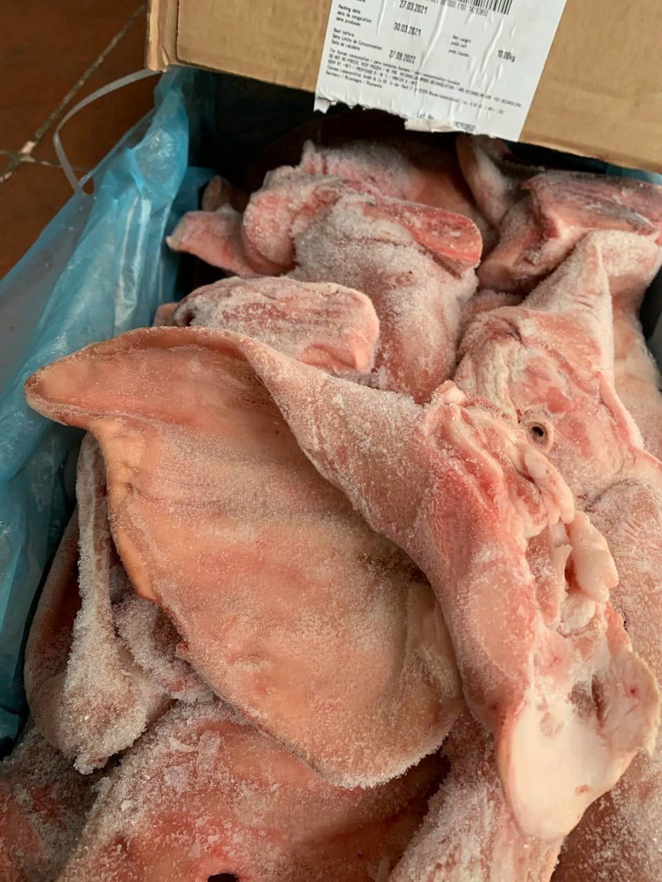 tai heo tonnies giá sỉ