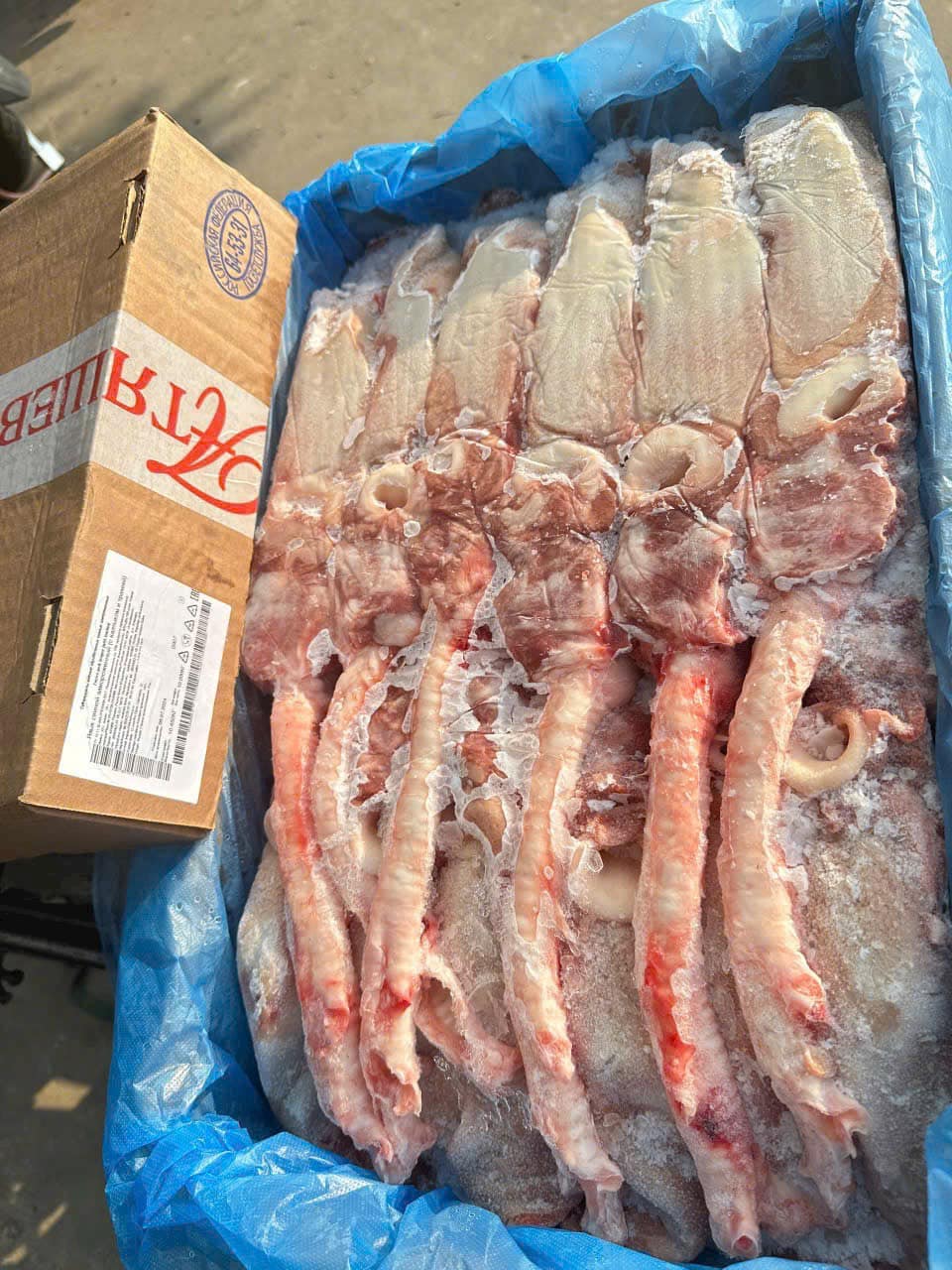 lưỡi heo đông lạnh nhập khẩu nga