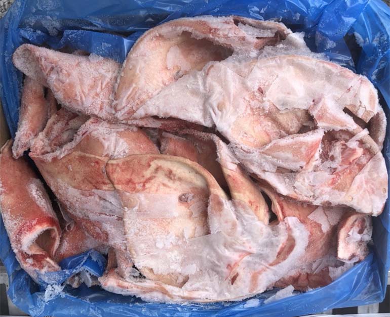 tai heo fleischhof áo