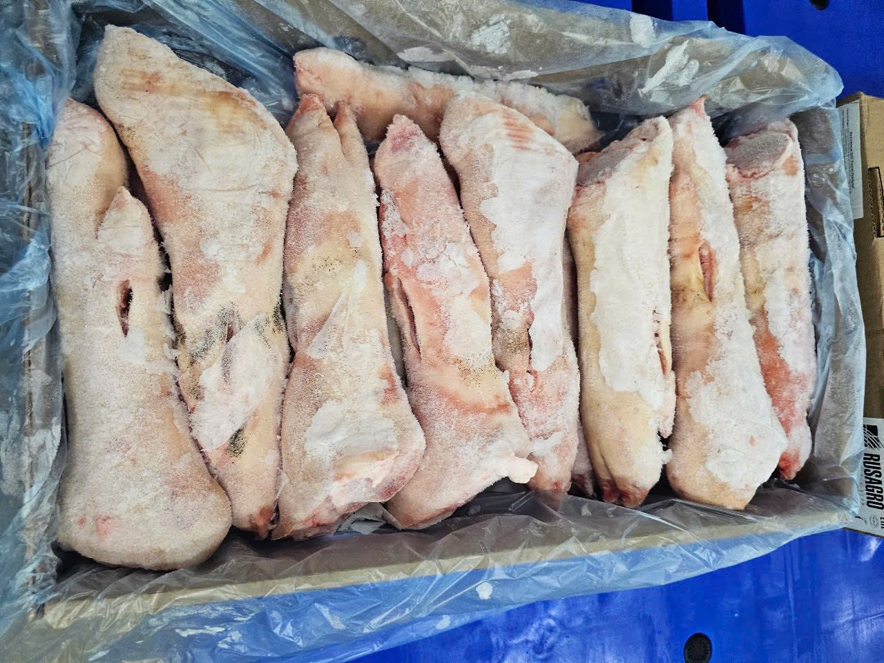 dựng sau heo rusagro nga