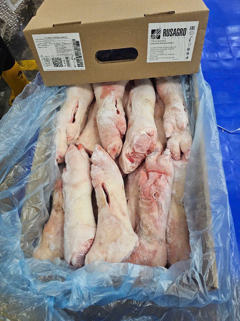 dựng sau heo đông lạnh nhập khẩu nga