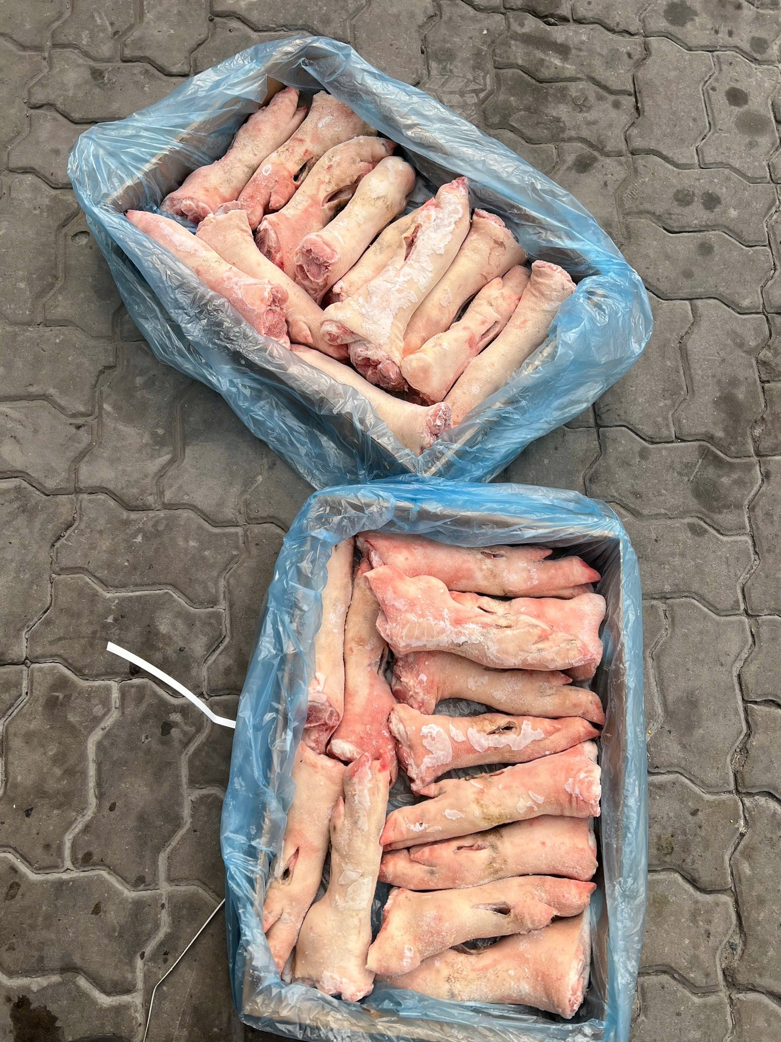 dựng heo q6 giá sỉ