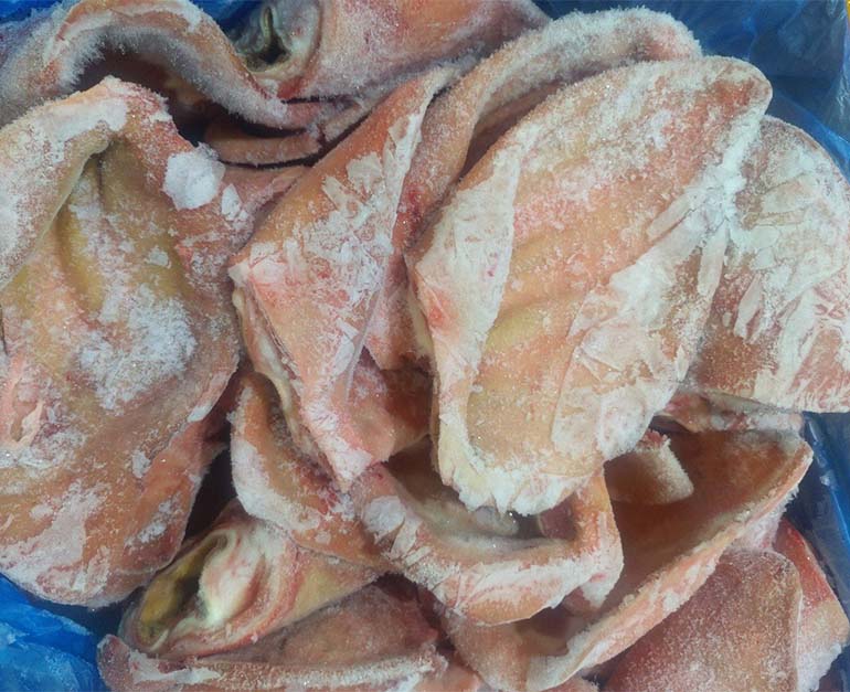 tai heo tề rusagro nga