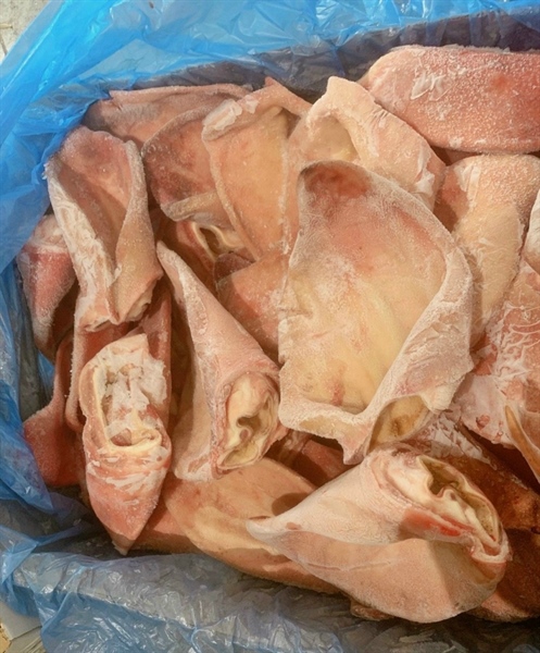 tai heo tề rusagro giá sỉ