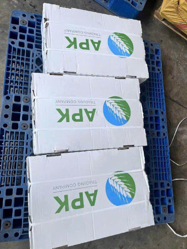 da lưng heo apk giá sỉ