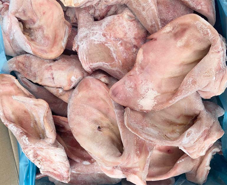 tai heo guissona tay ban nha