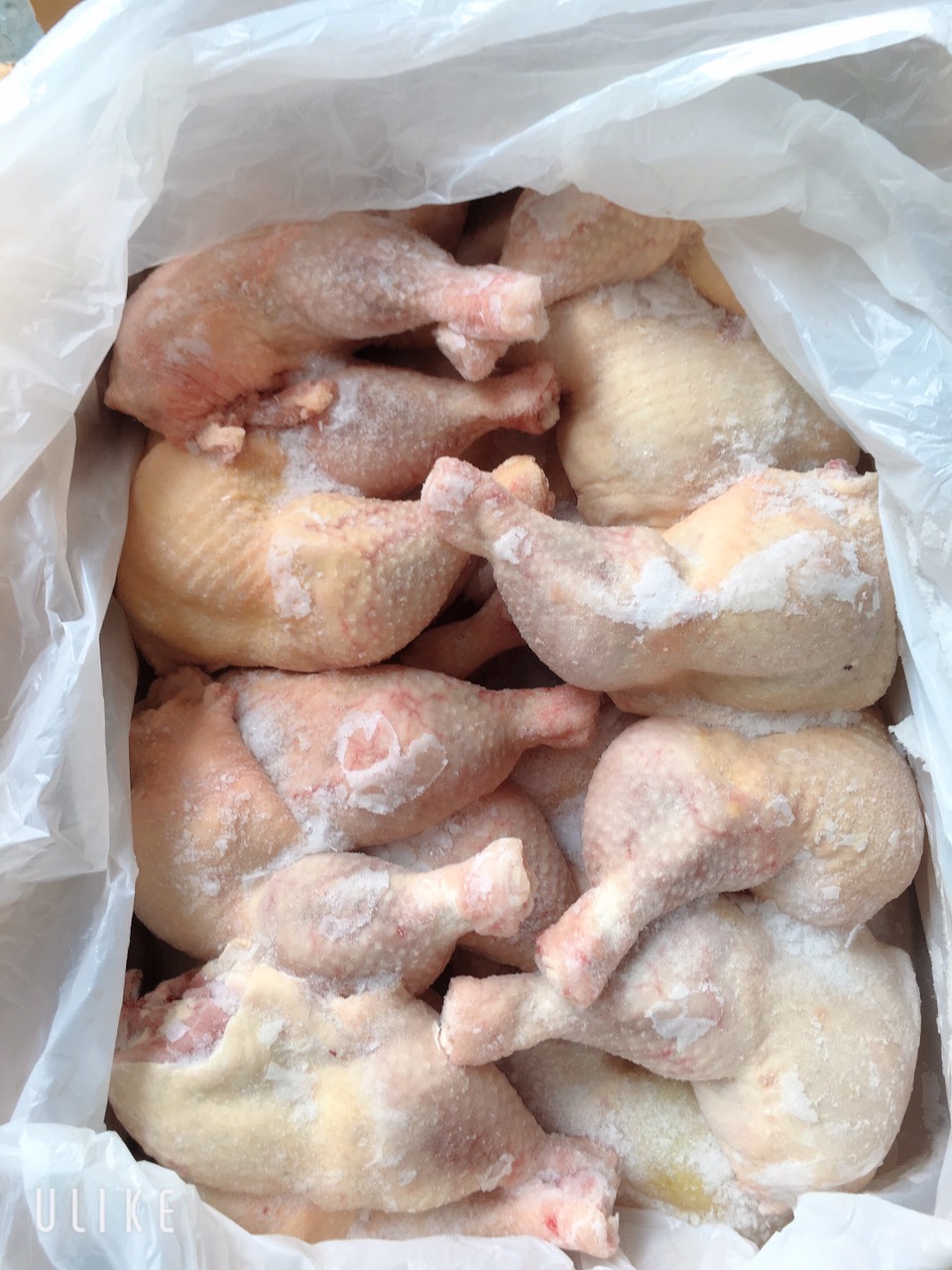 đùi gà shinwoo giá sỉ