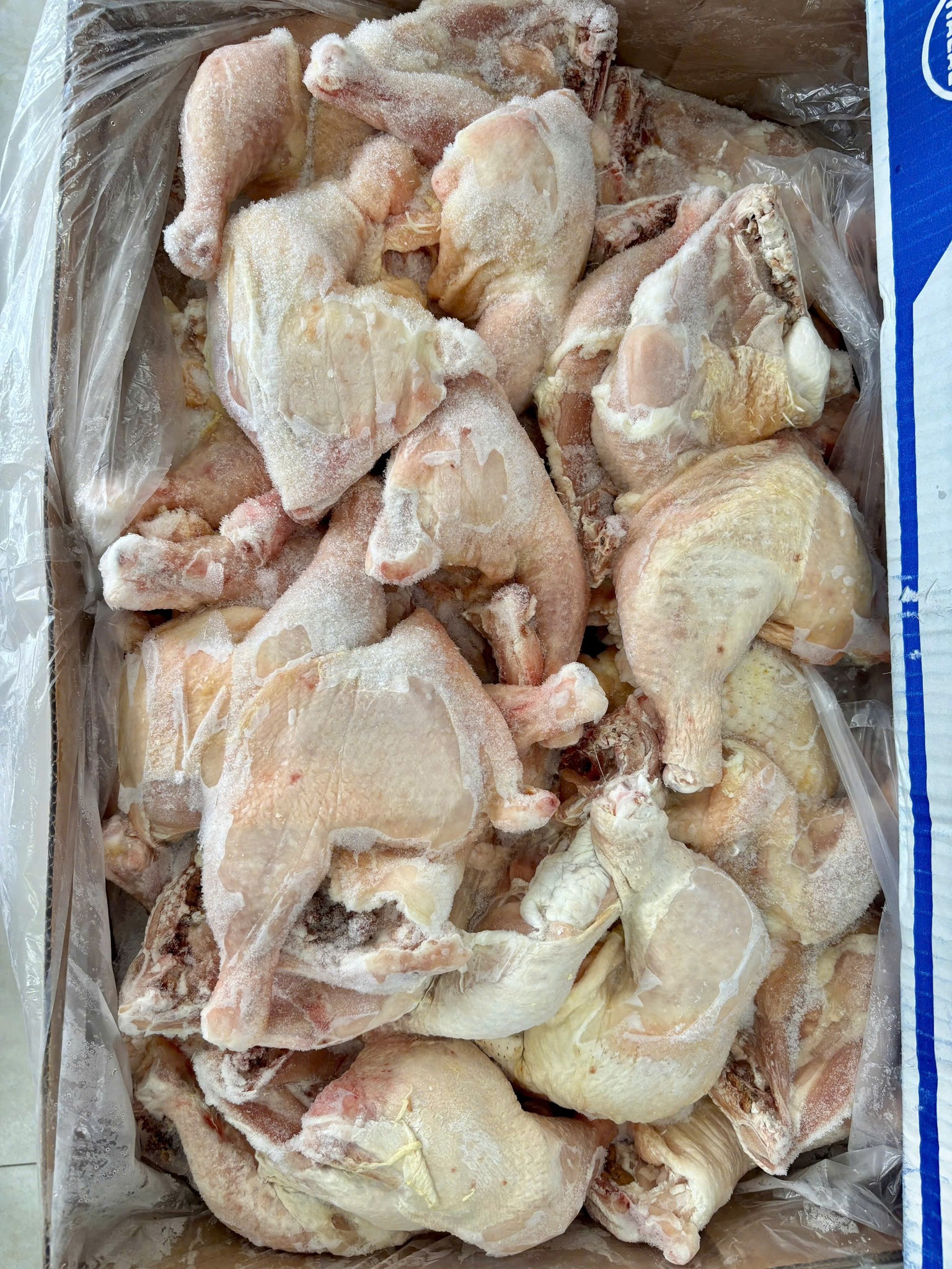 ga goc tu simmons gia si