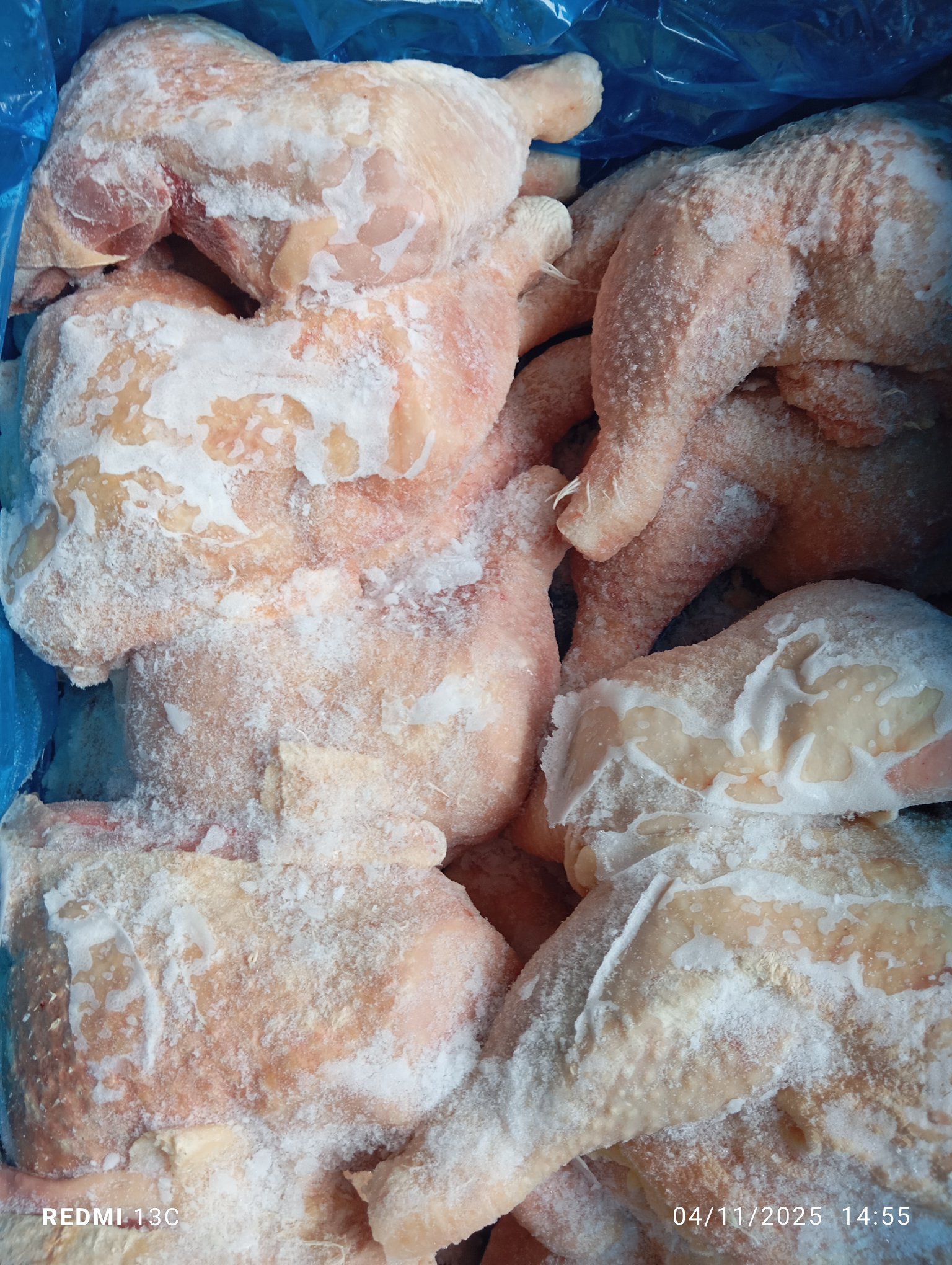 dui ga singgreen gia si