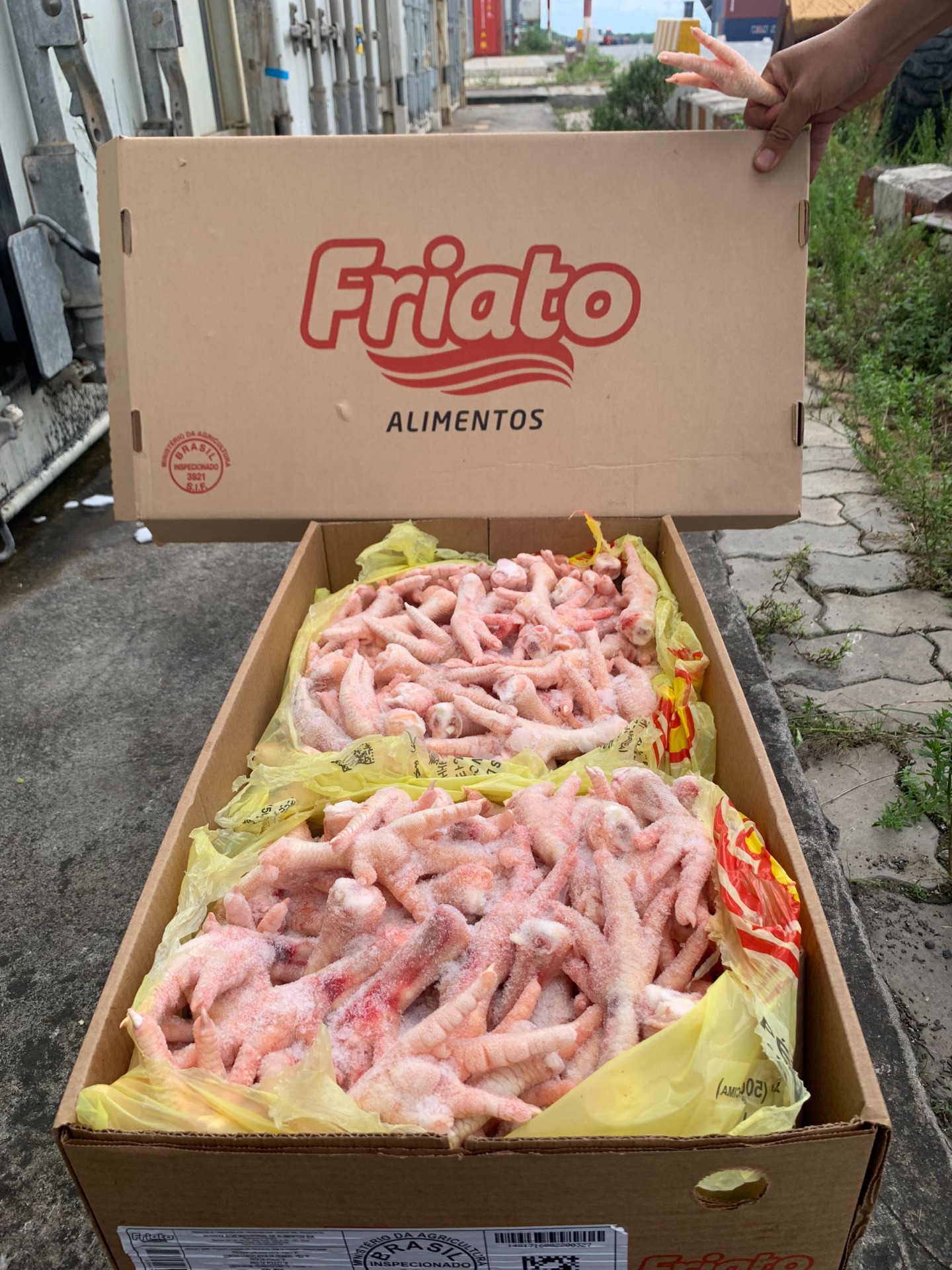 chan ga friato brazil