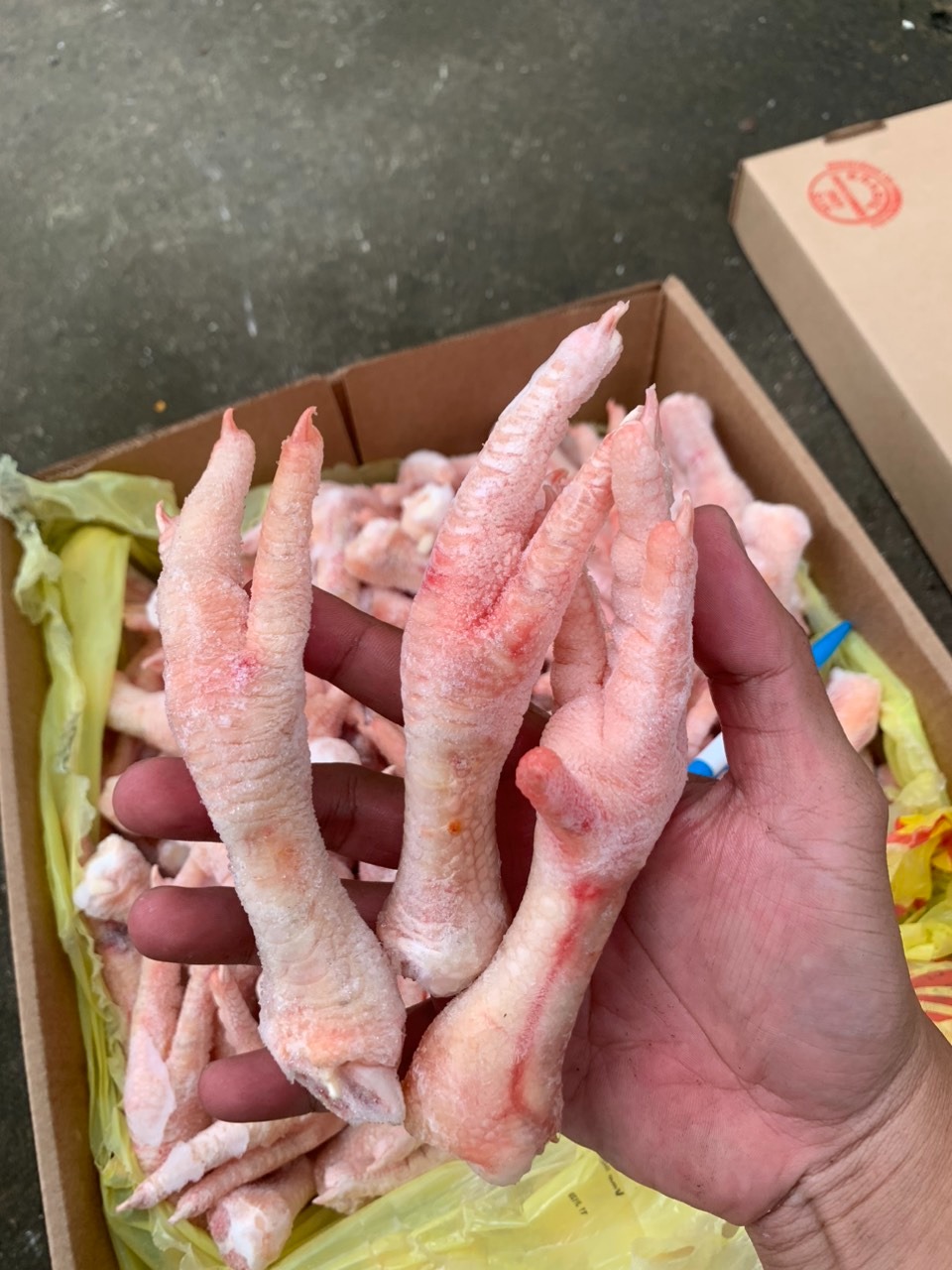 chan ga dong lanh brazil