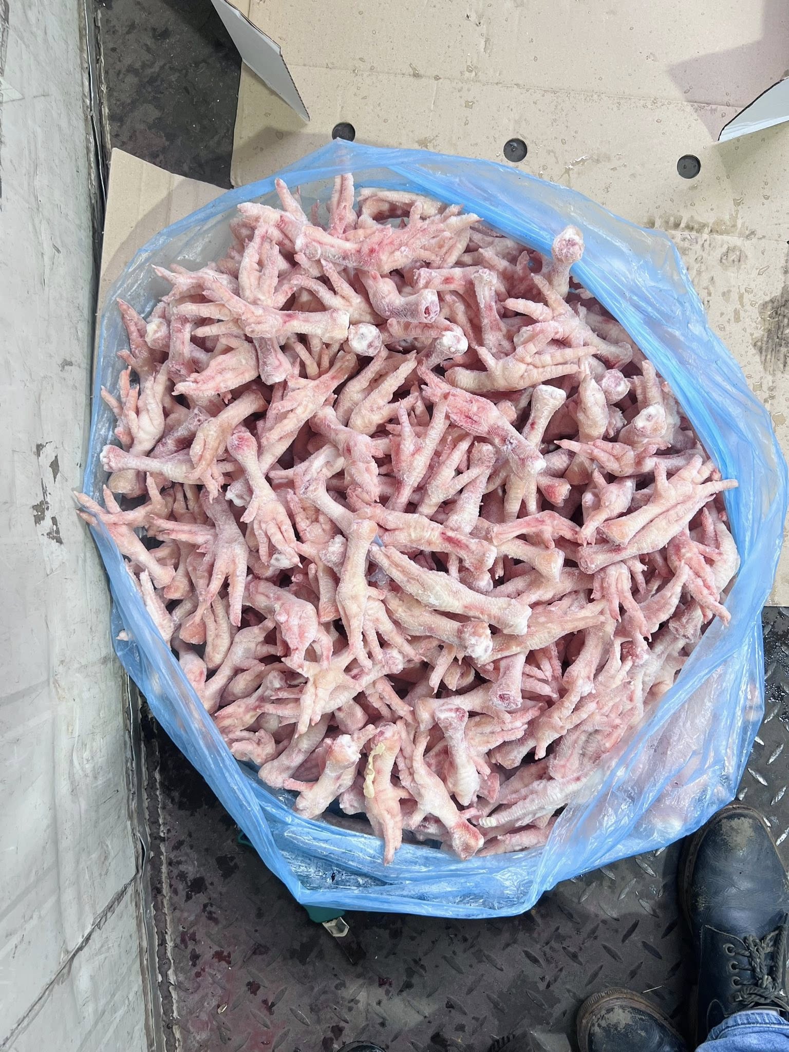 chan ga dong lanh my