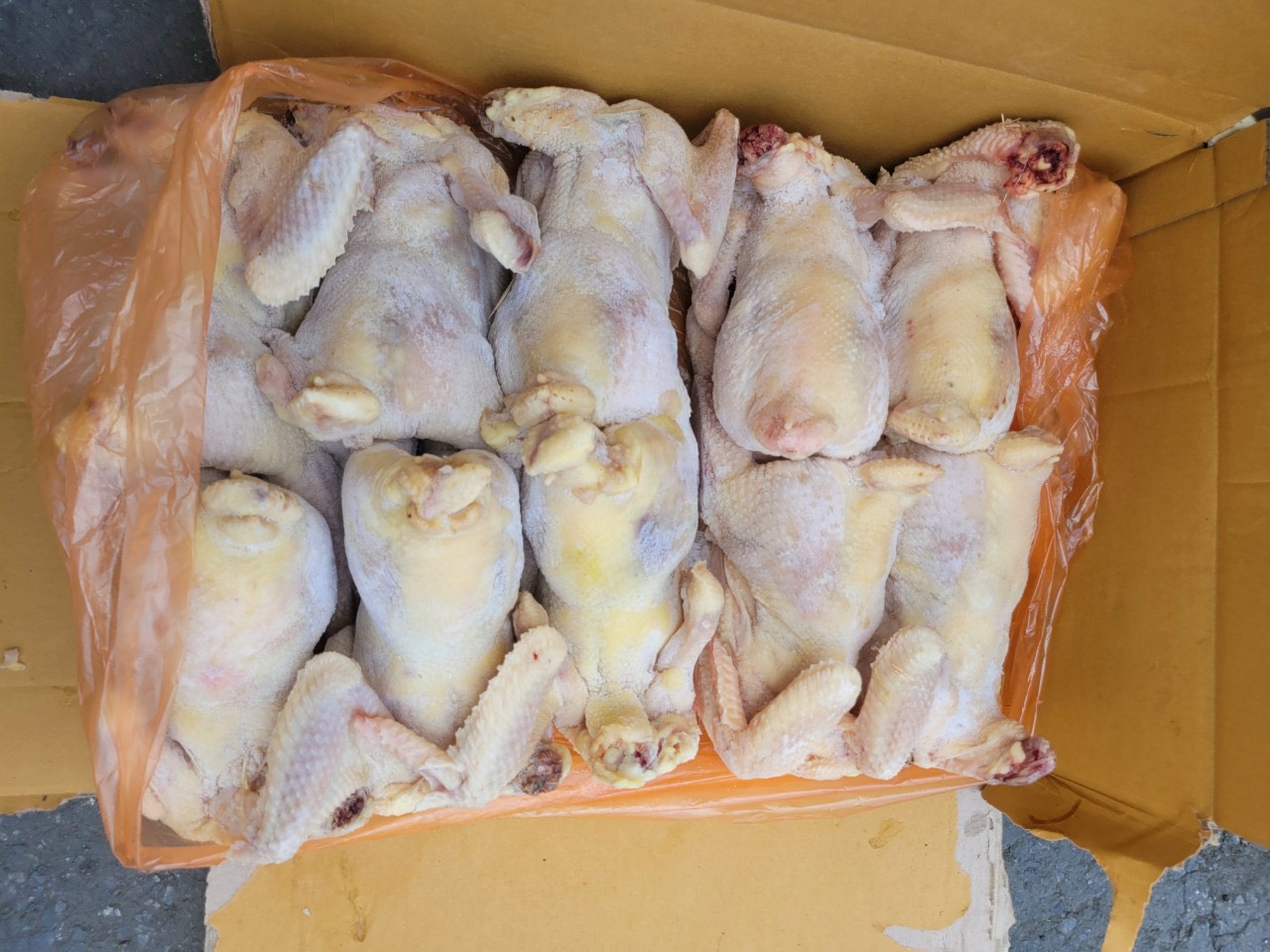 ga nguyen con singgreen han quoc