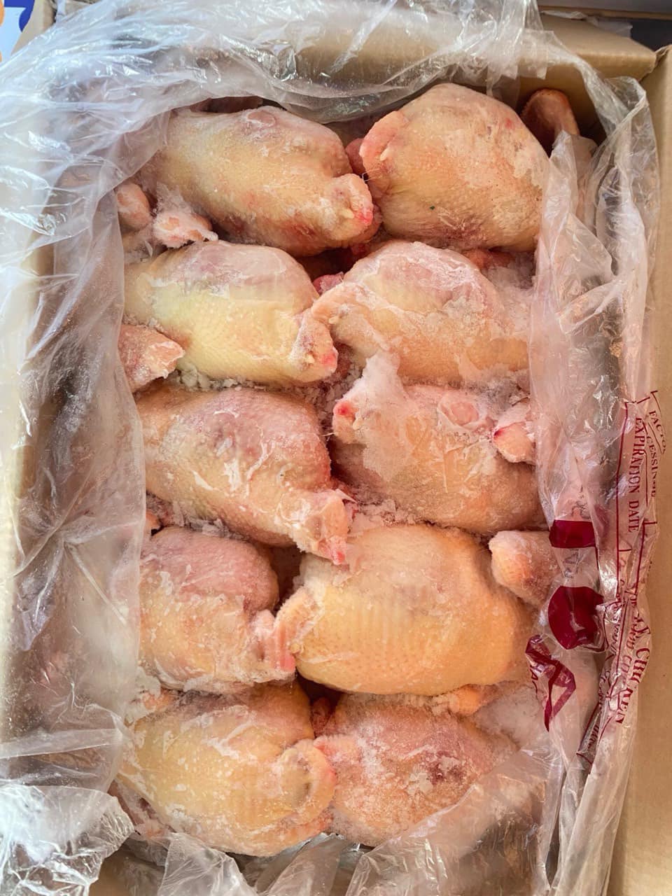 ga dong lanh han quoc