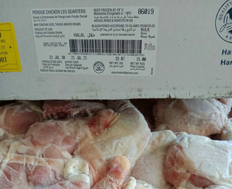 ga goc tu dong lanh my