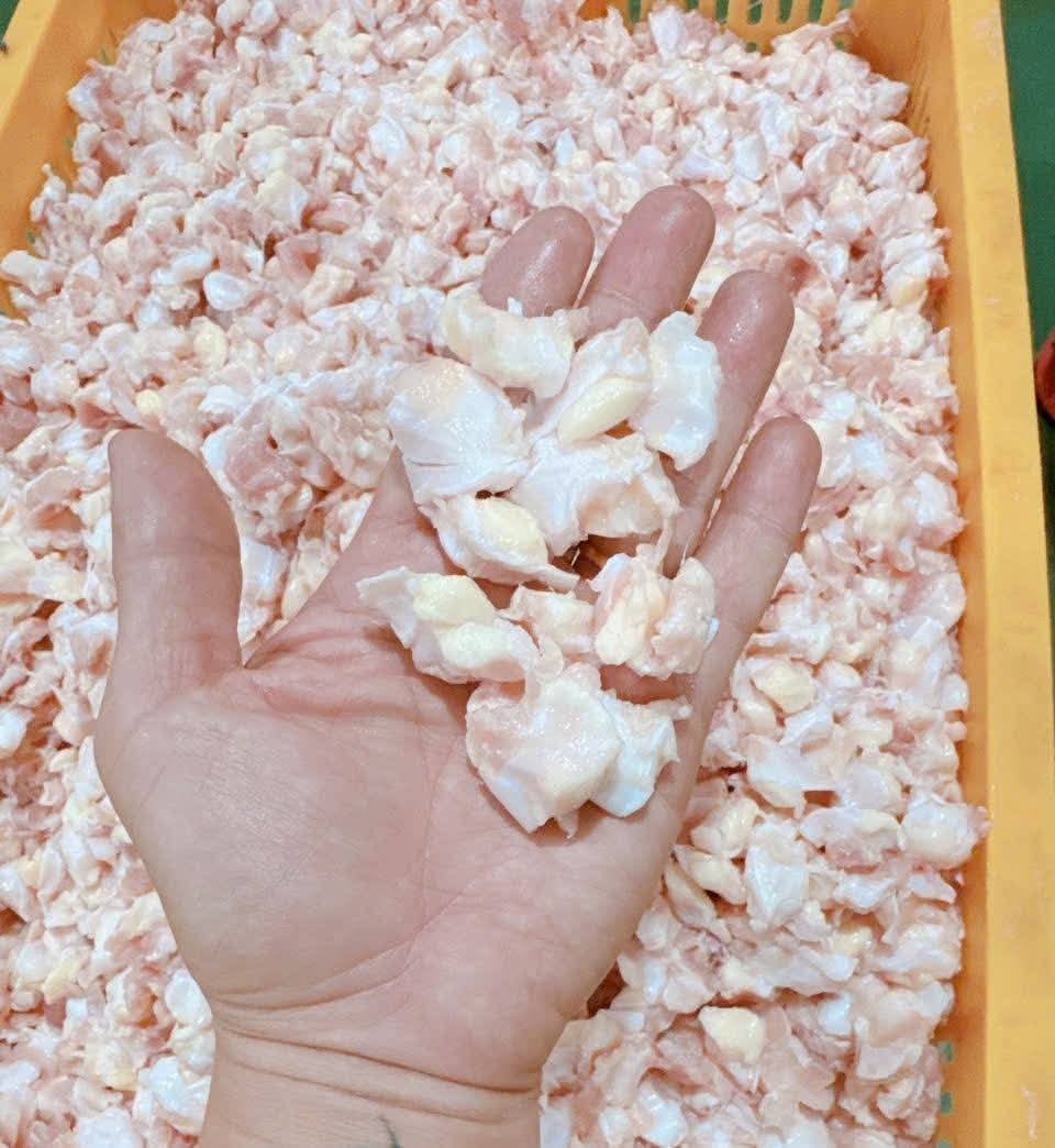 sun ga diplomata gia si