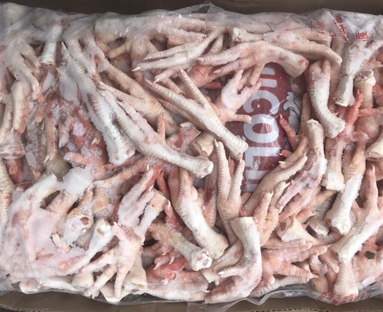 chan ga dong lanh brazil