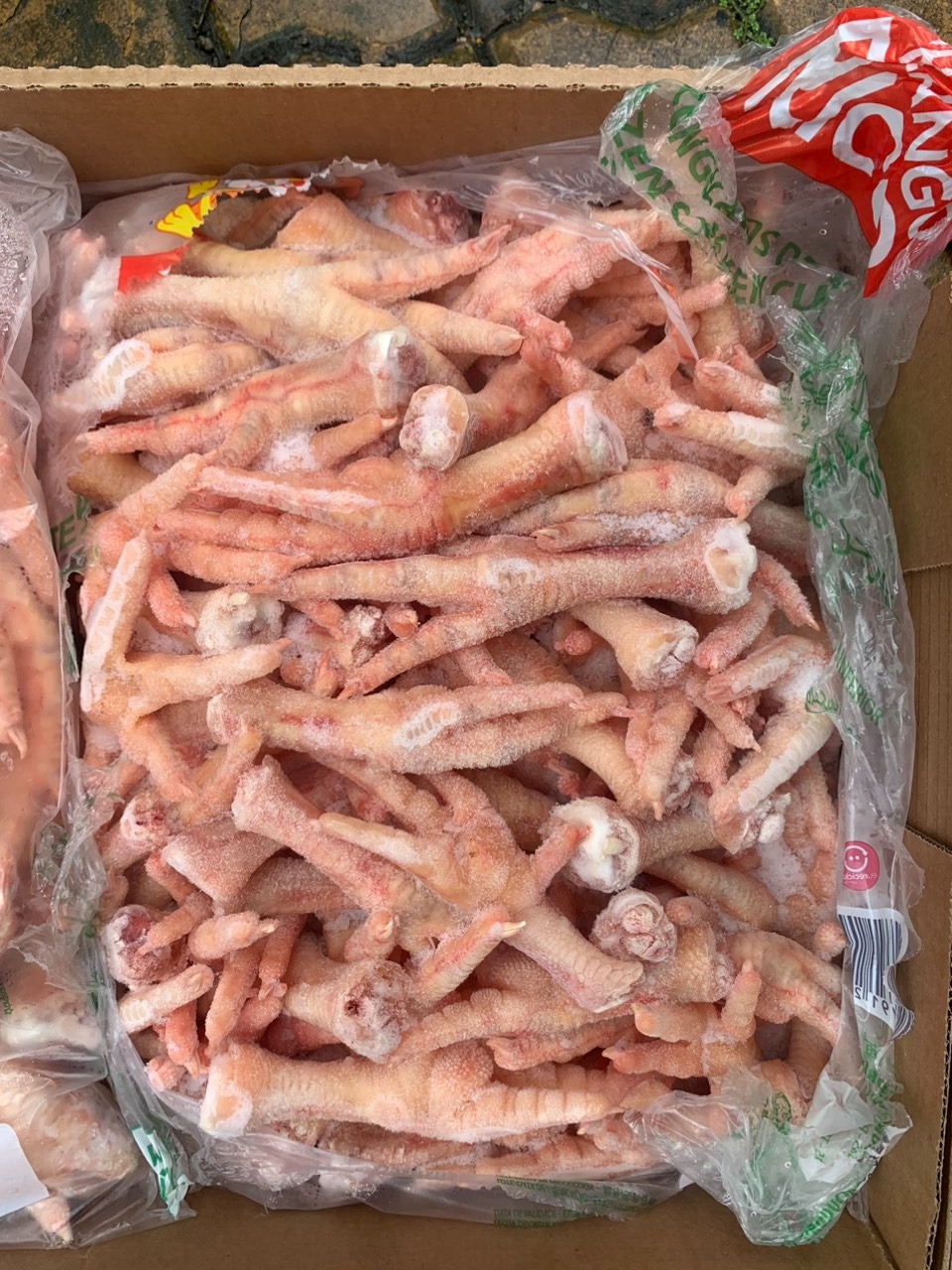 chan ga nicolini gia si