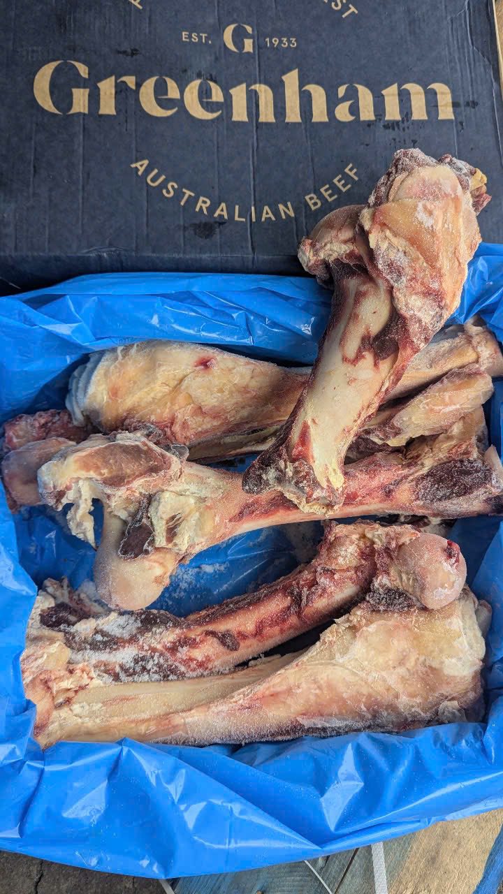 xuong ong bo dong lanh uc