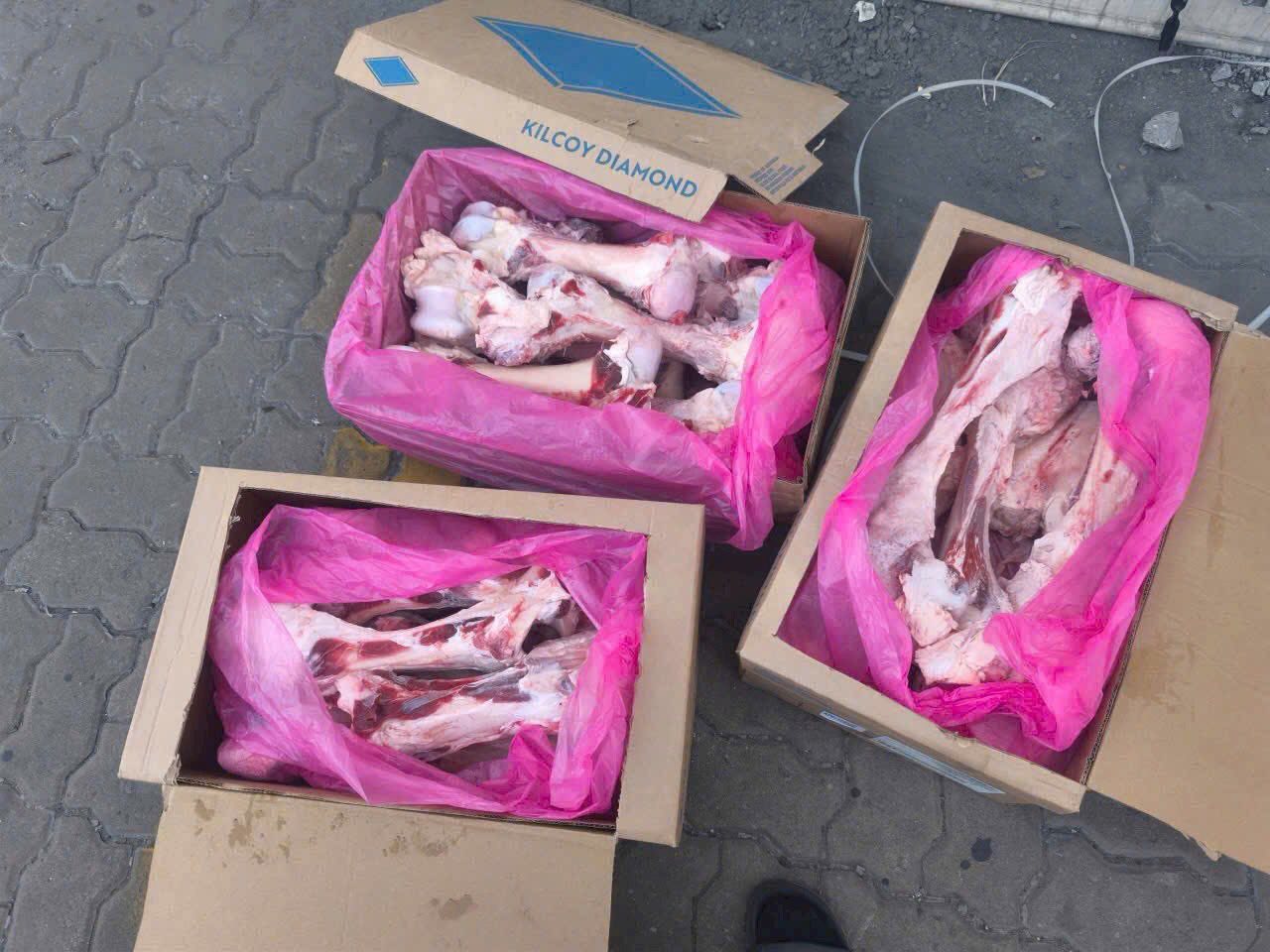 xuong ong bo kilcoy uc