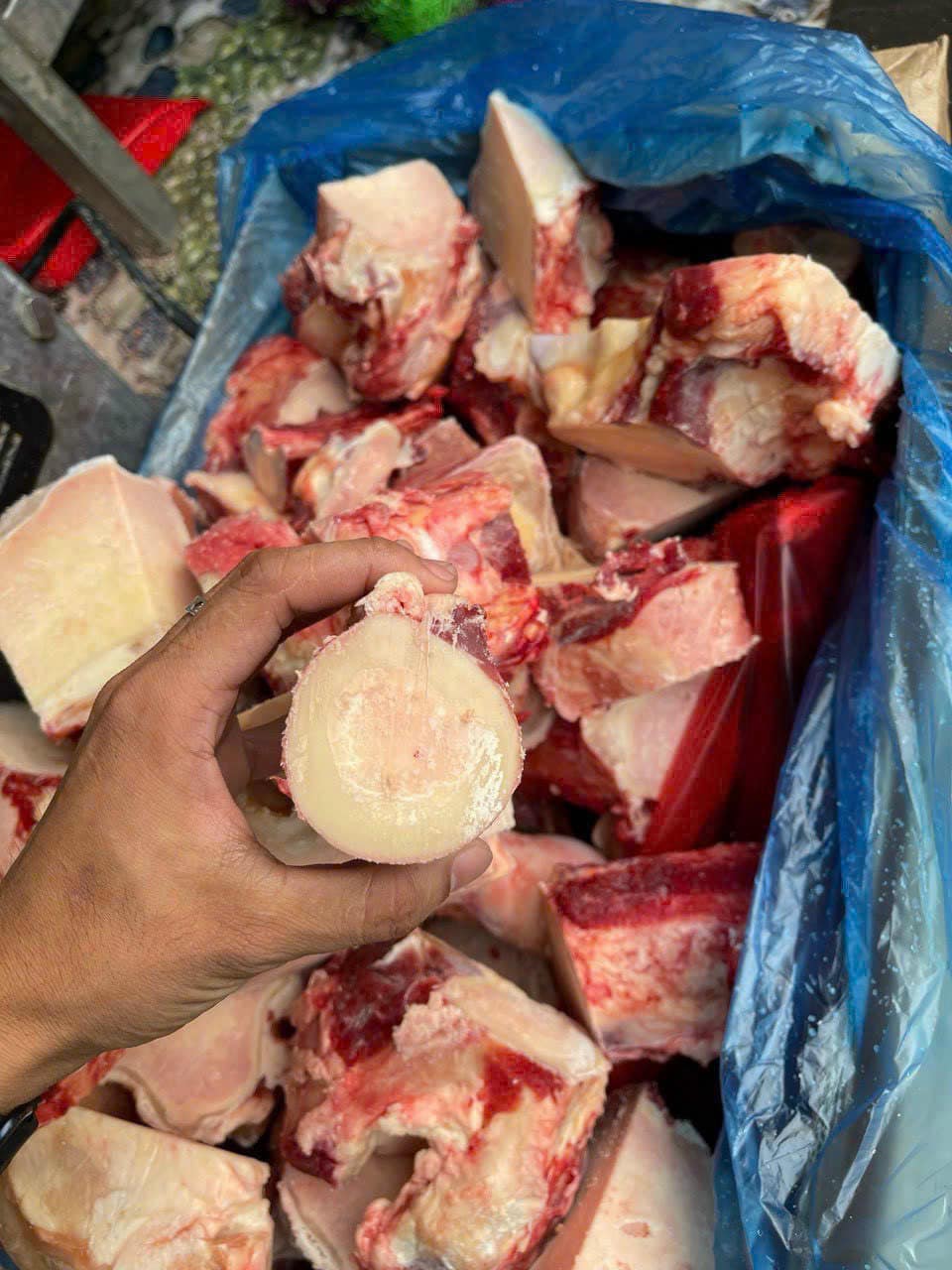 xuong ong bo kilcoy gia si