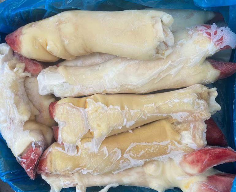 chan bo dong lanh uc