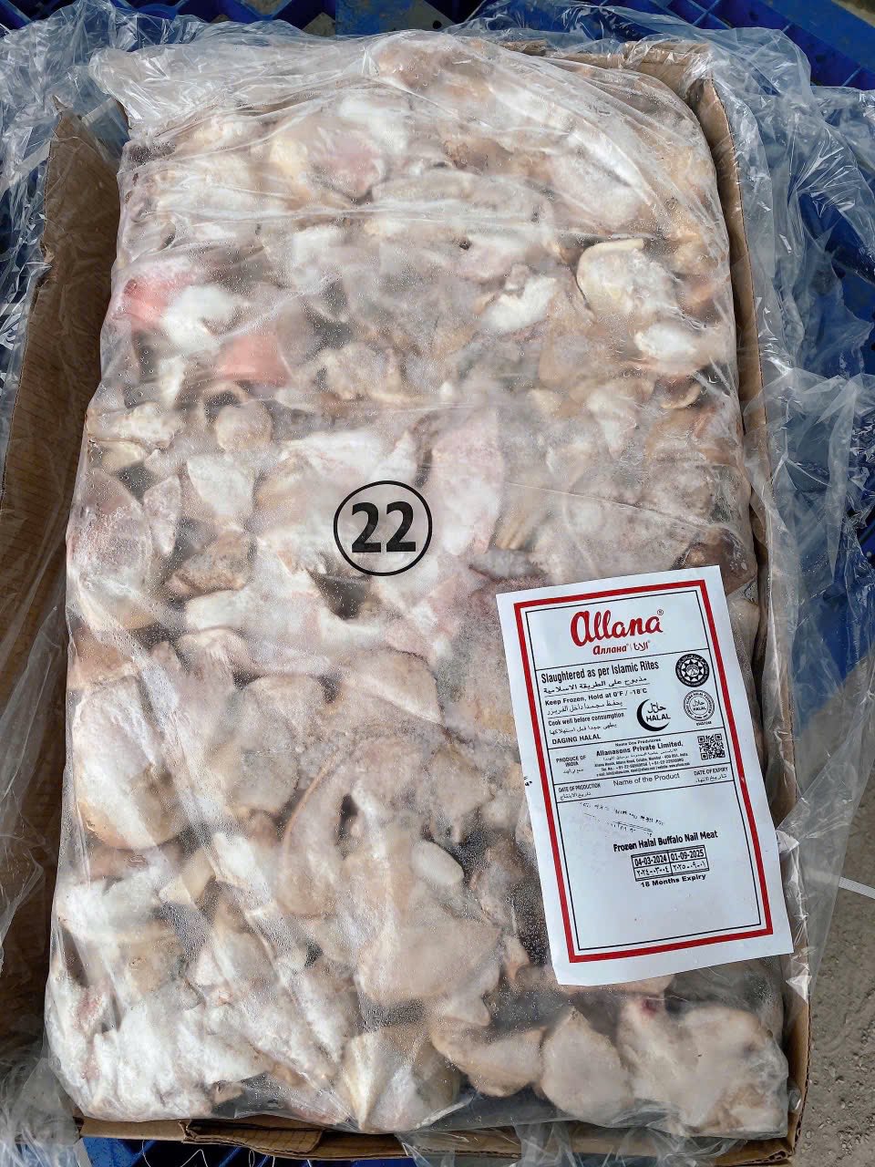 mong trau dong lanh allana