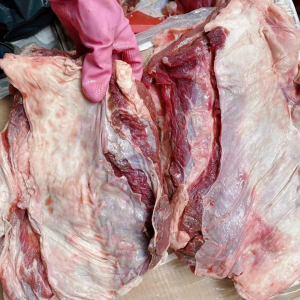 gau uc trau dong lanh