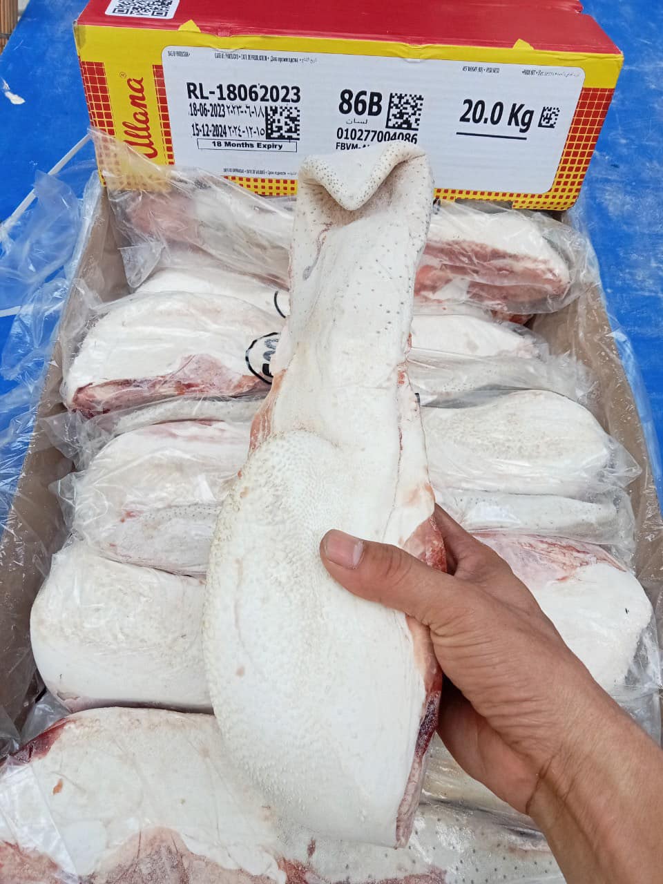 Lưỡi trâu Ấn Độ Allana 86B đông lạnh