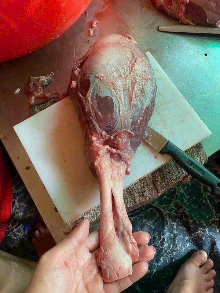 Thịt trâu Ấn Độ Rustam nhập khẩu