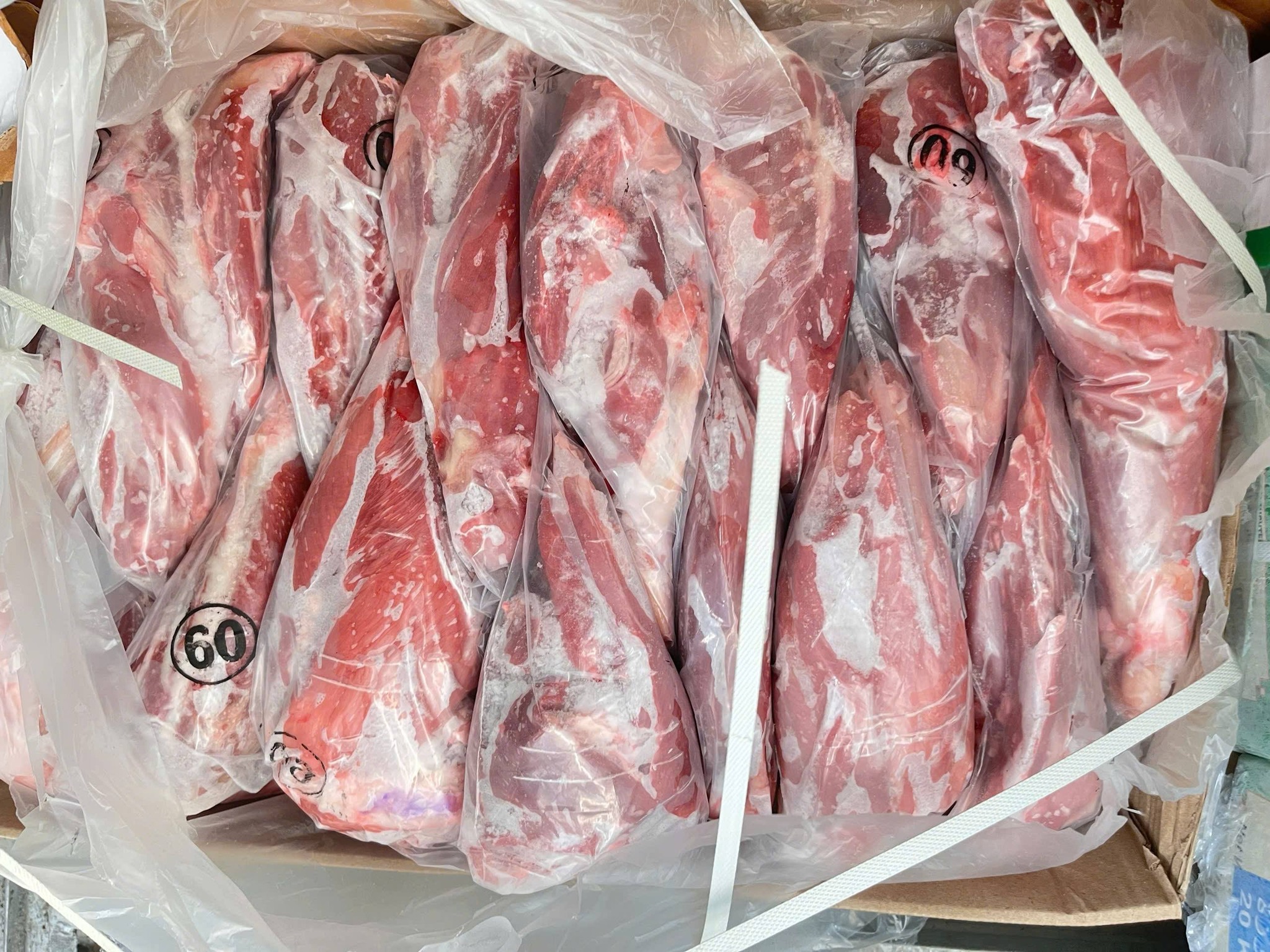 Bắp hoa trâu 60 Minha nhập khẩu Ấn Độ