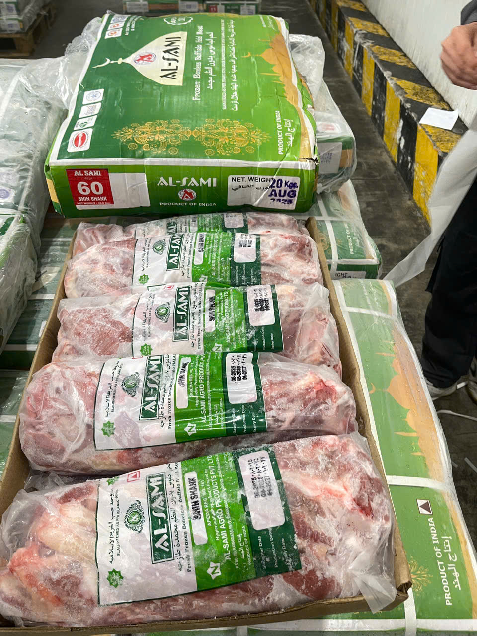 Bắp hoa trâu Alsami 60 nhập khẩu Ấn Độ