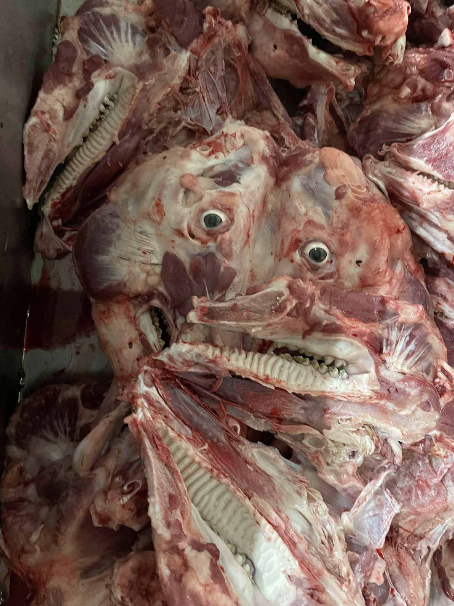 Xương đầu heo đông lạnh nấu nước lèo