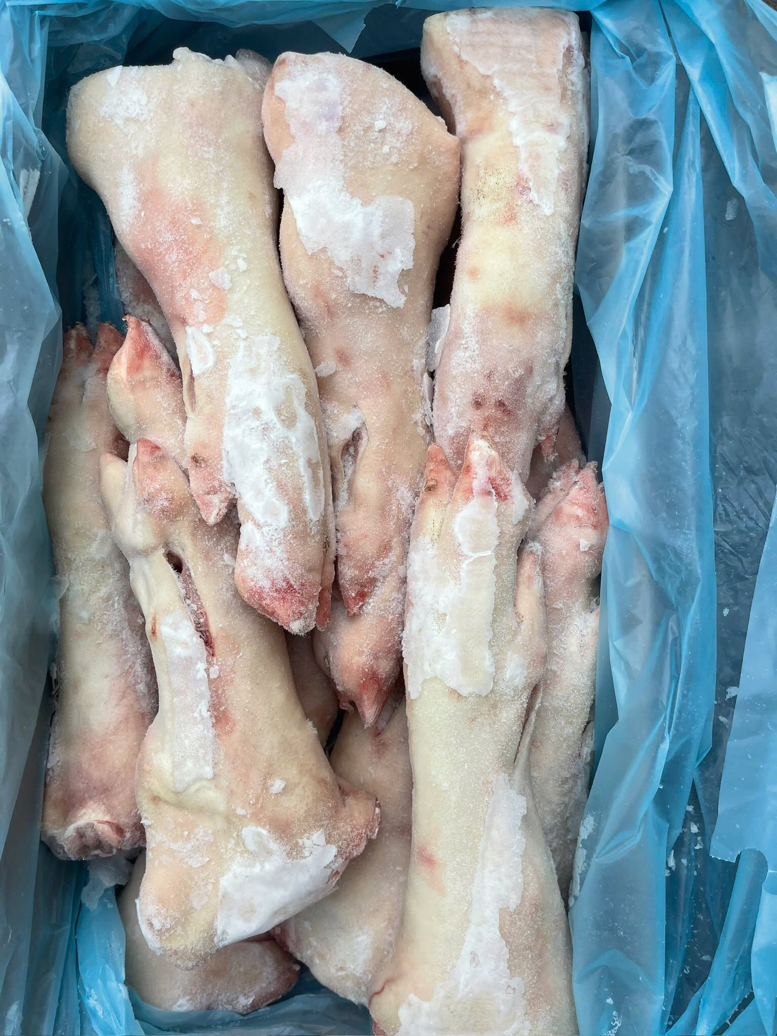 Móng sau heo Tonies đông lạnh nhập khẩu